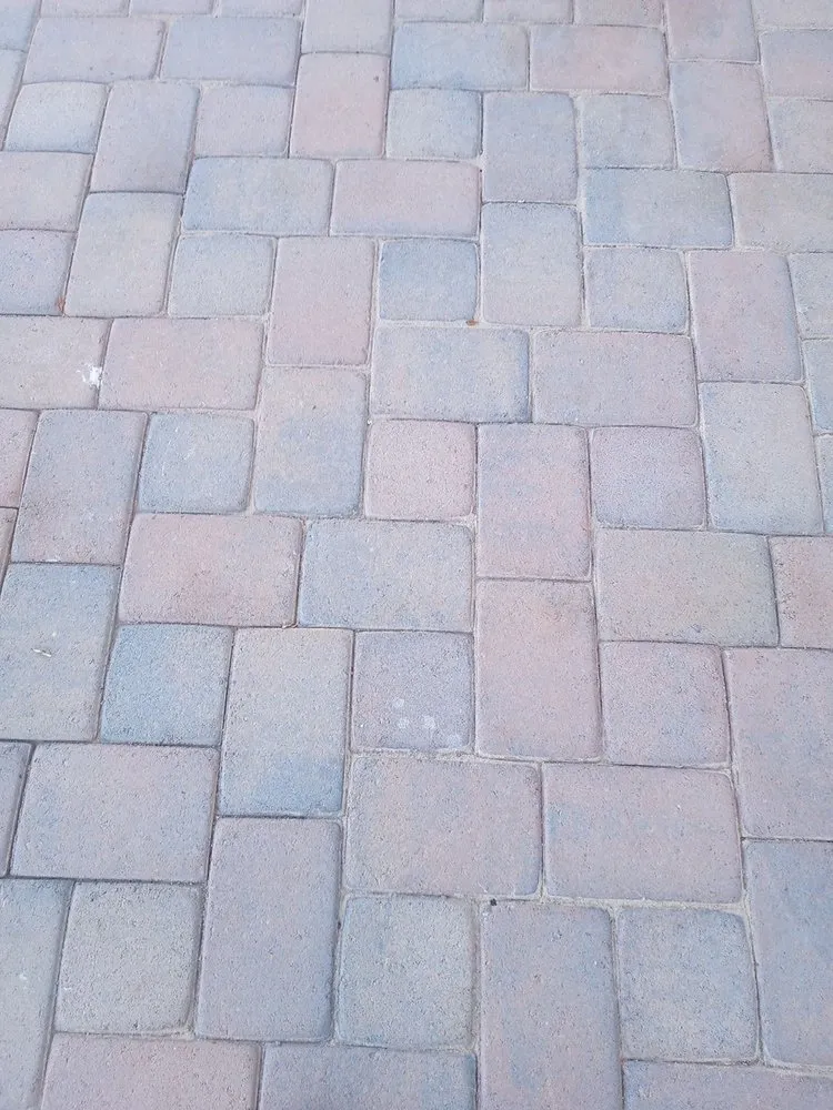 Local lawn care service for beautiful yards in Avondale, AZ by Jose Landscaping Services