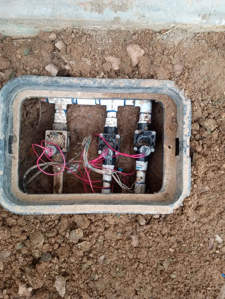 Affordable outdoor landscaping for beautiful yards across Avondale, AZ - Jose Landscaping Services