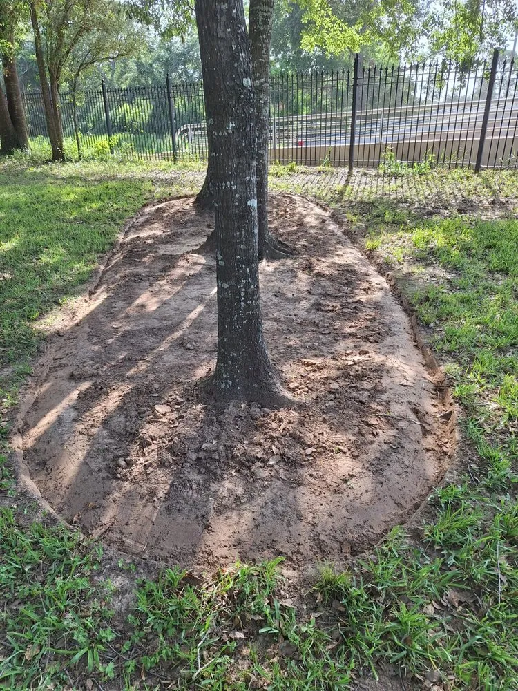 Top-rated landscaping services experts serving Richmond, TX - Jose Landscaping Services