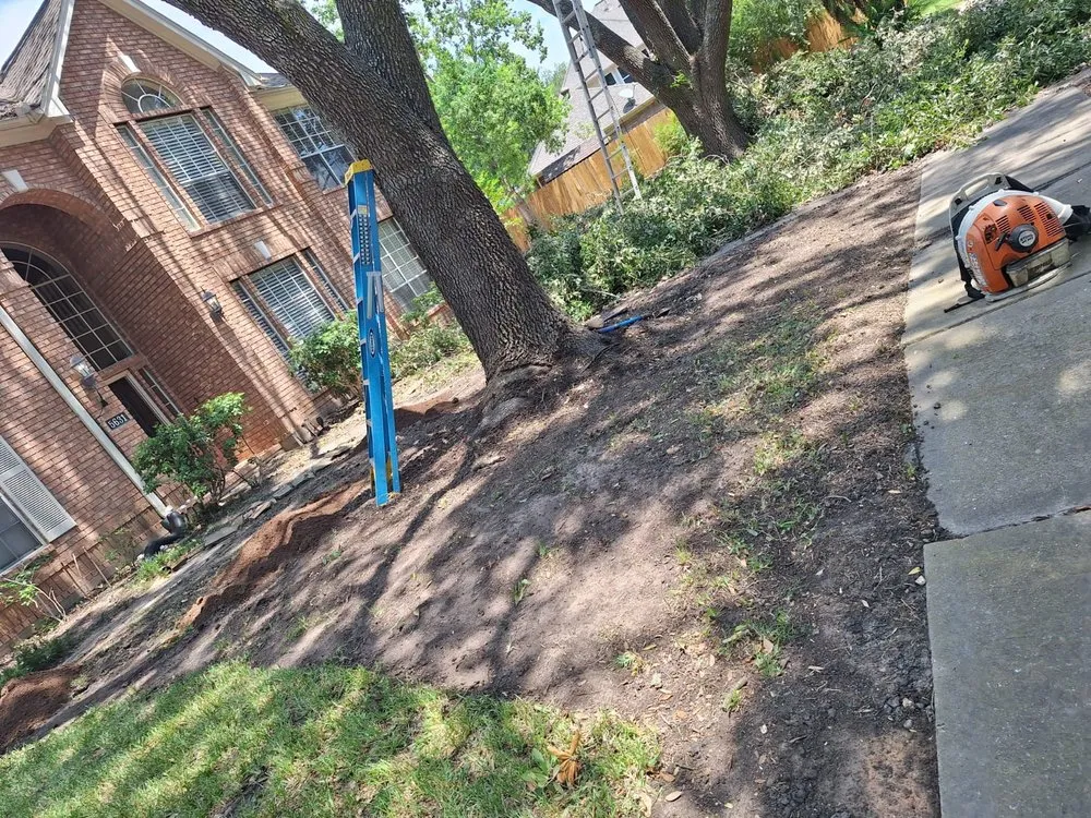Reliable yard maintenance in Richmond, TX by Jose Landscaping Services