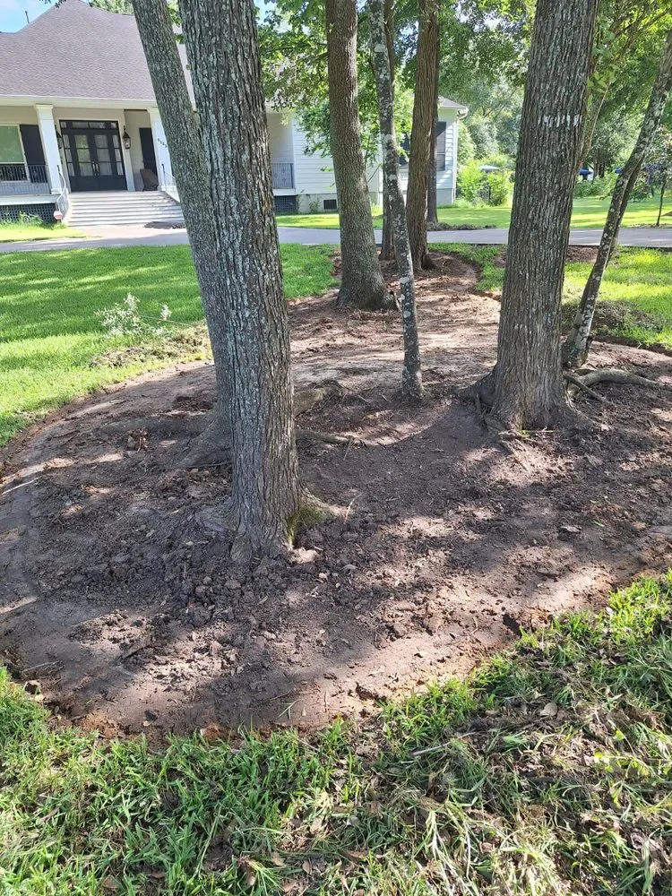 Expert yard cleanup service experts serving Richmond, TX - Jose Landscaping Services