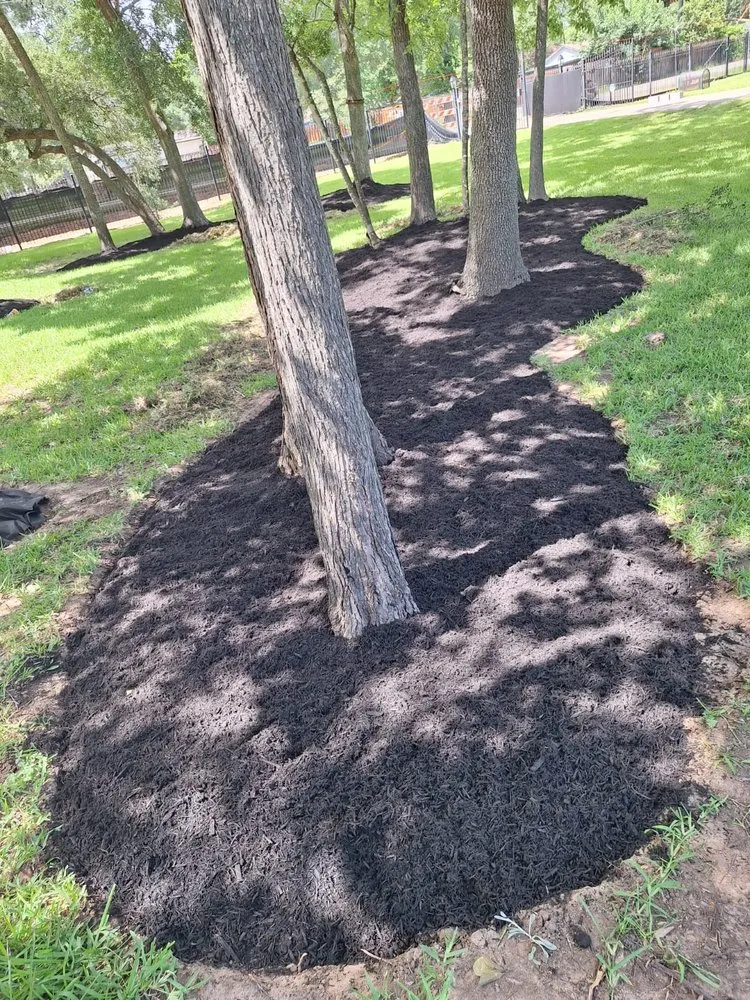 Expert landscaping services experts serving Richmond, TX - Jose Landscaping Services