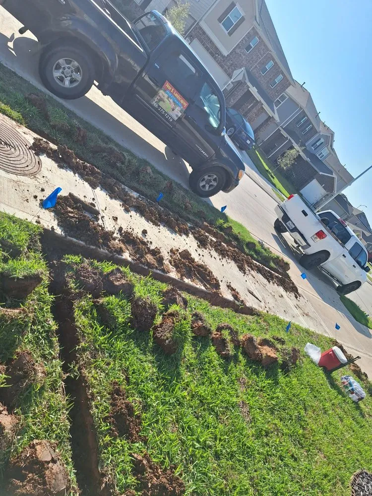 Professional landscape design in Richmond, TX by Jose Landscaping Services