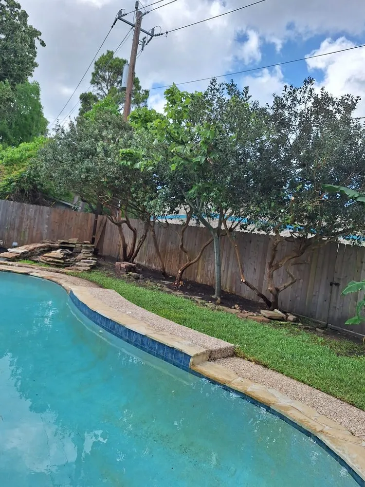 Affordable garden landscaping in Richmond, TX by Jose Landscaping Services