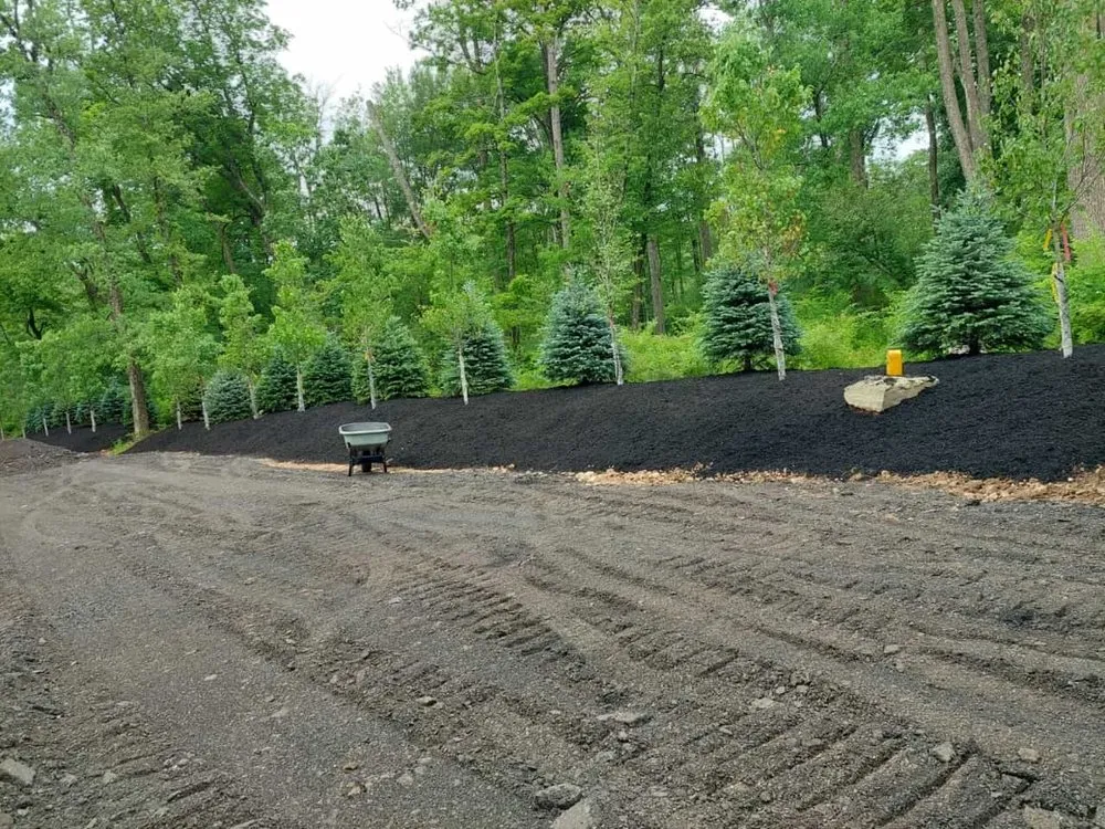 Custom lawn mowing service near you across Trenton, NJ - Jose Landscaping Services