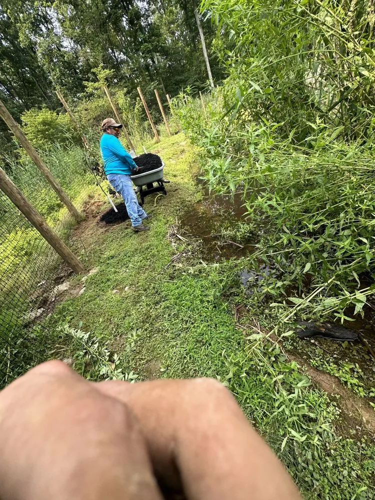 Professional landscaping services with custom design in Trenton, NJ by Jose Landscaping Services