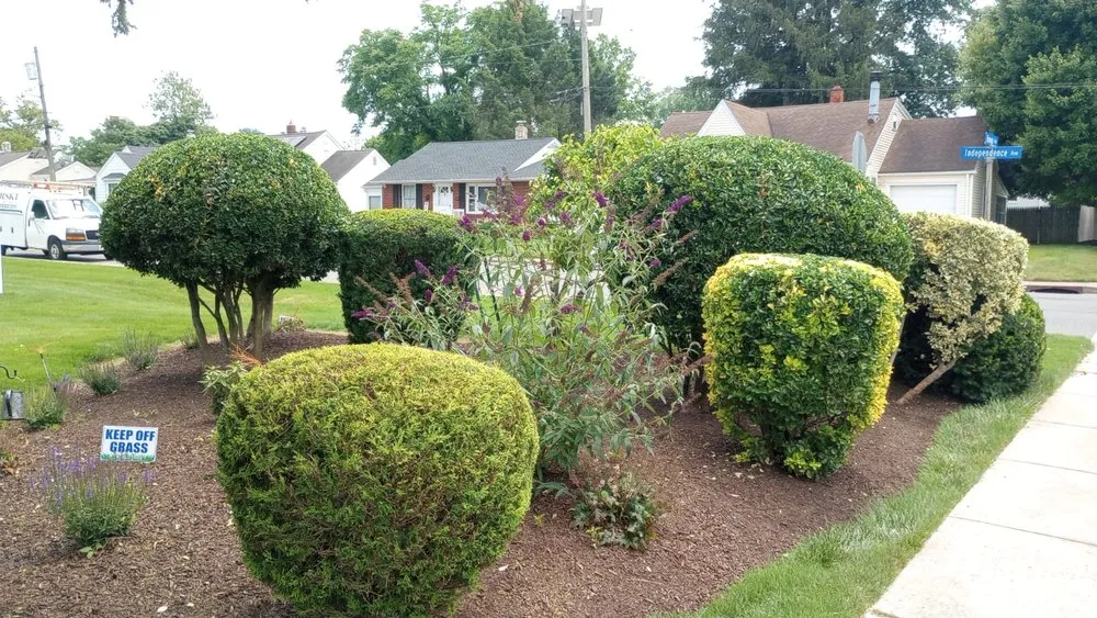 Trusted lawn care service in Trenton, NJ - Jose Landscaping Services