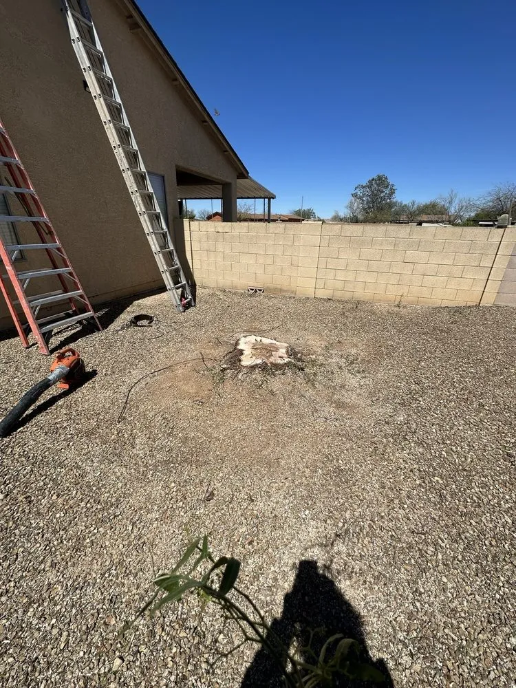 Top-rated lawn mowing service experts serving Tucson, AZ - Jose Landscaping