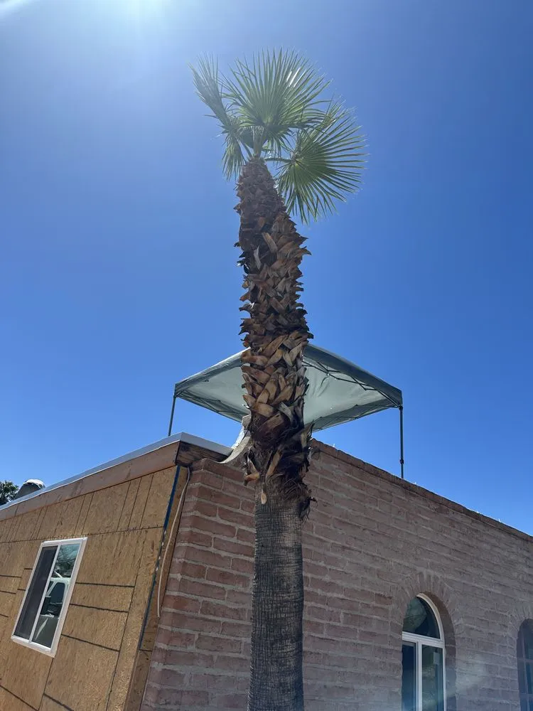 Professional yard cleanup service for residential properties across Tucson, AZ - Jose Landscaping