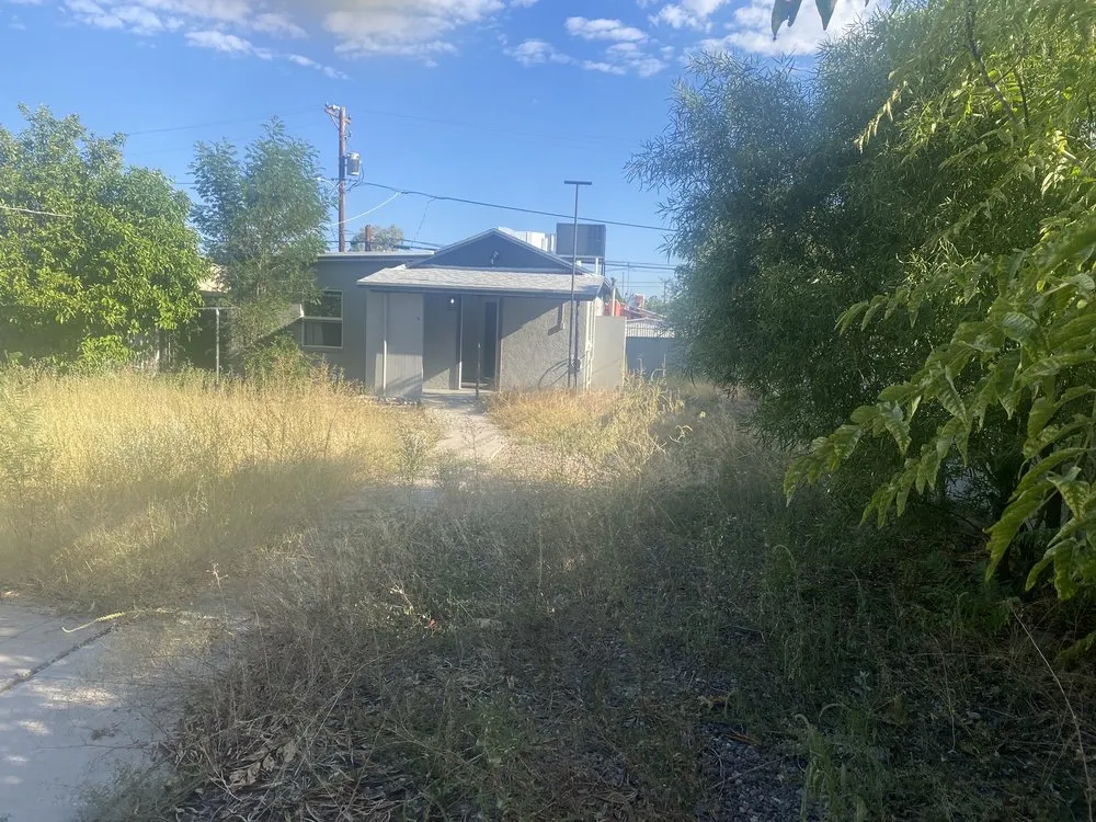 Custom residential landscaping for homes in Tucson, AZ by Jose Landscaping