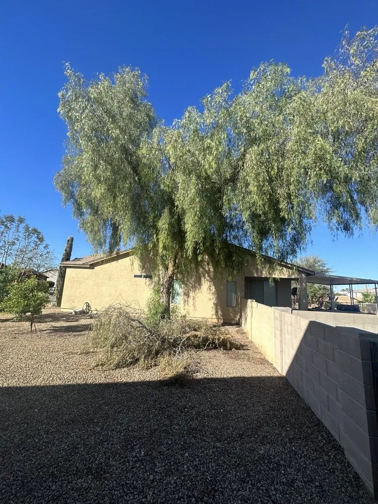 Professional garden landscaping near you in Tucson, AZ by Jose Landscaping