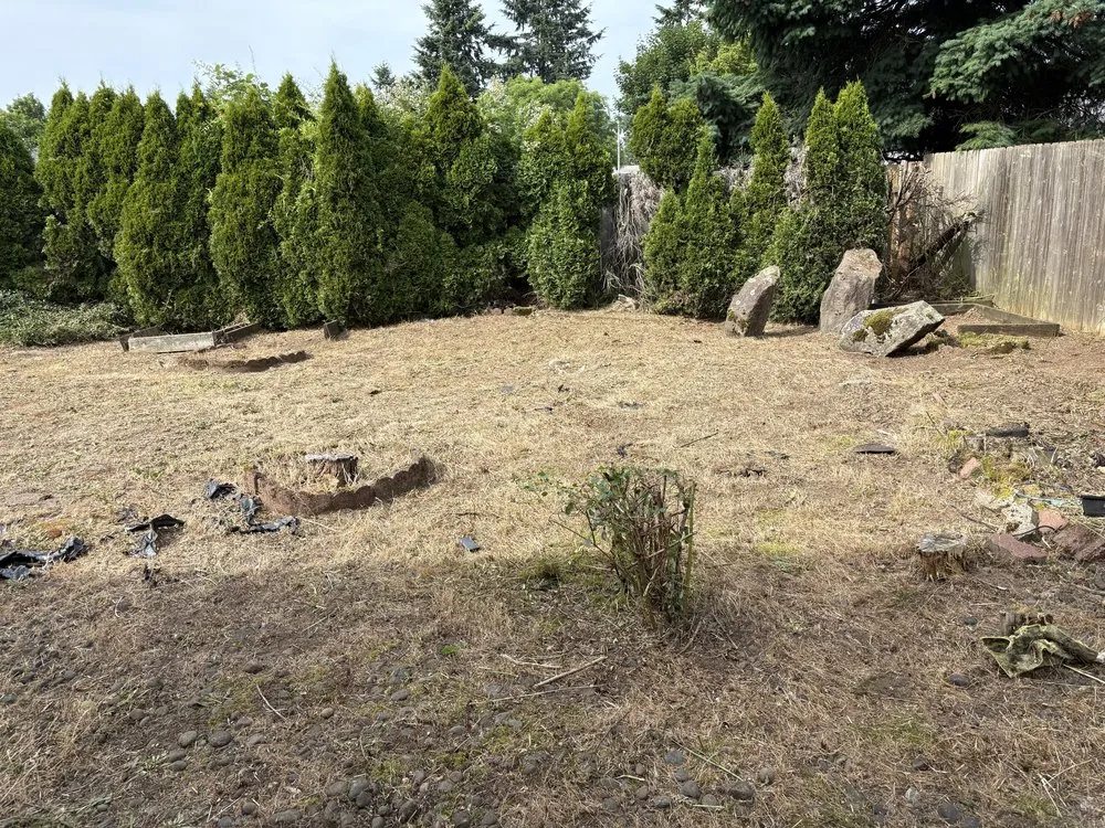 Trusted lawn care service in Vancouver, WA by Jose Landscaping