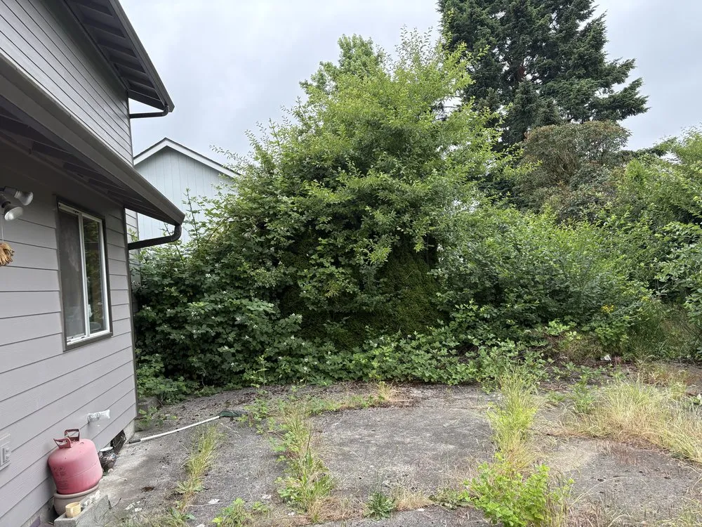 Professional yard maintenance in Vancouver, WA by Jose Landscaping