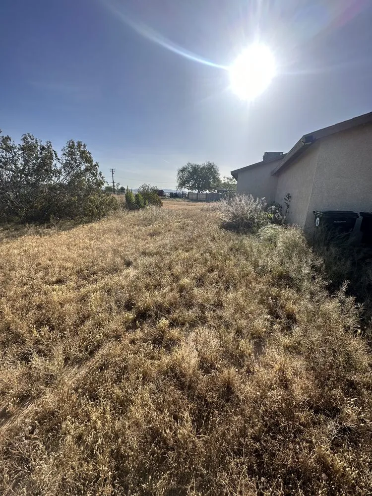 Professional residential landscaping near you across Victorville, CA - Jose Landscaping