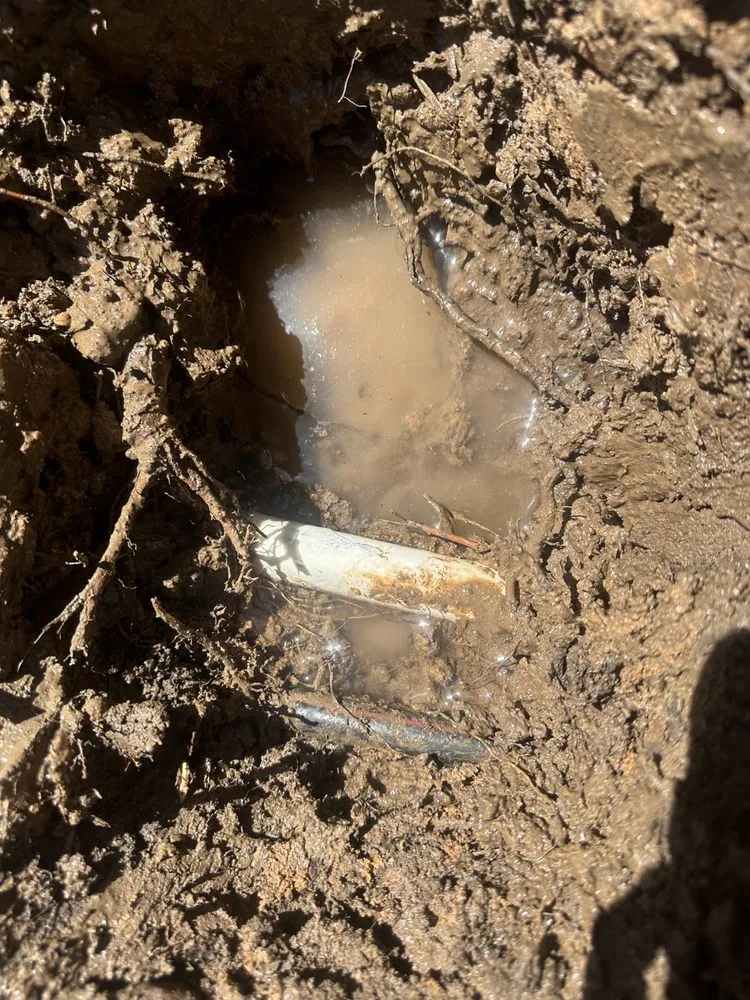 Expert lawn care service for homes across Victorville, CA - Jose Landscaping