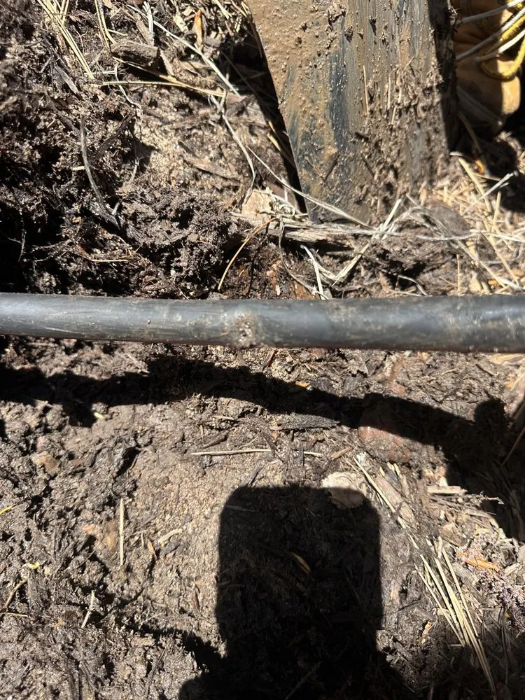 Local landscape design experts serving Victorville, CA - Jose Landscaping