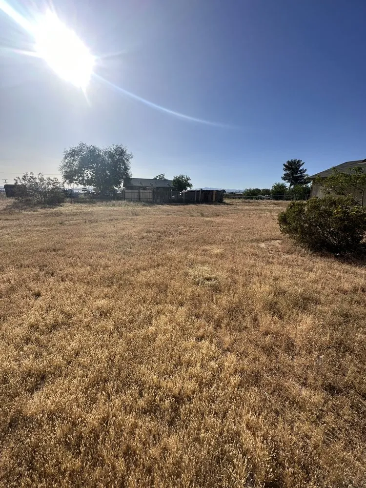 Trusted outdoor landscaping for homes in Victorville, CA by Jose Landscaping