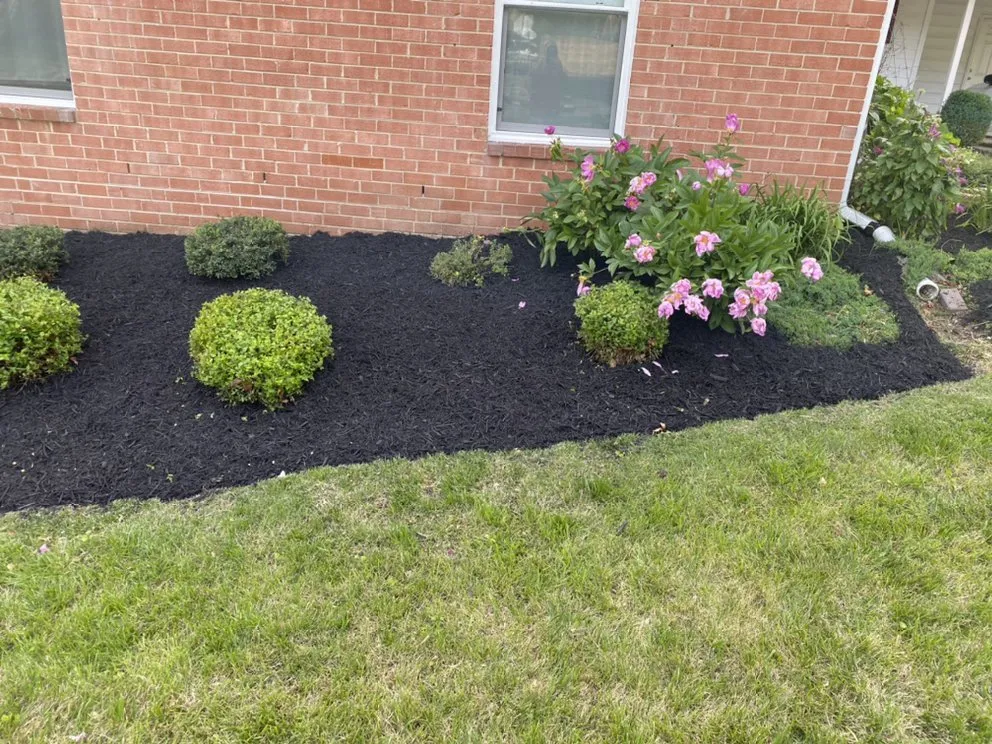 Expert landscaping services near you in Fairfax, VA by Jose Lara Landscaping Service