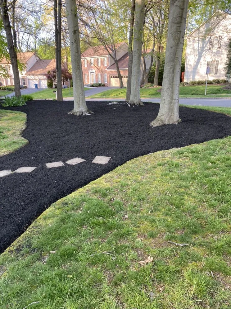 Professional outdoor landscaping experts serving Fairfax, VA - Jose Lara Landscaping Service