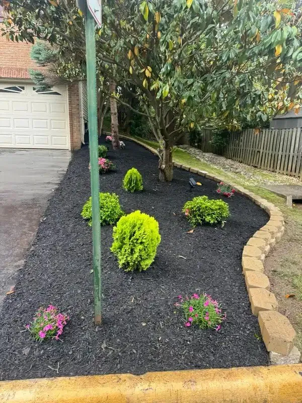 Top-rated yard maintenance experts serving Fairfax, VA - Jose Lara Landscaping Services