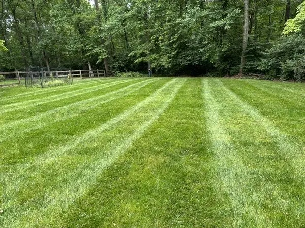 Trusted yard cleanup service for year-round maintenance across Fairfax, VA - Jose Lara Landscaping Services