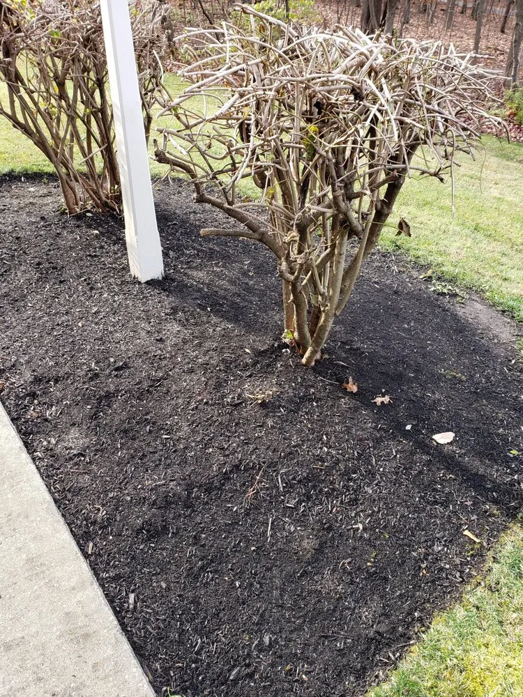 Top-rated outdoor landscaping in Lebanon, PA by Jose Lawn Care