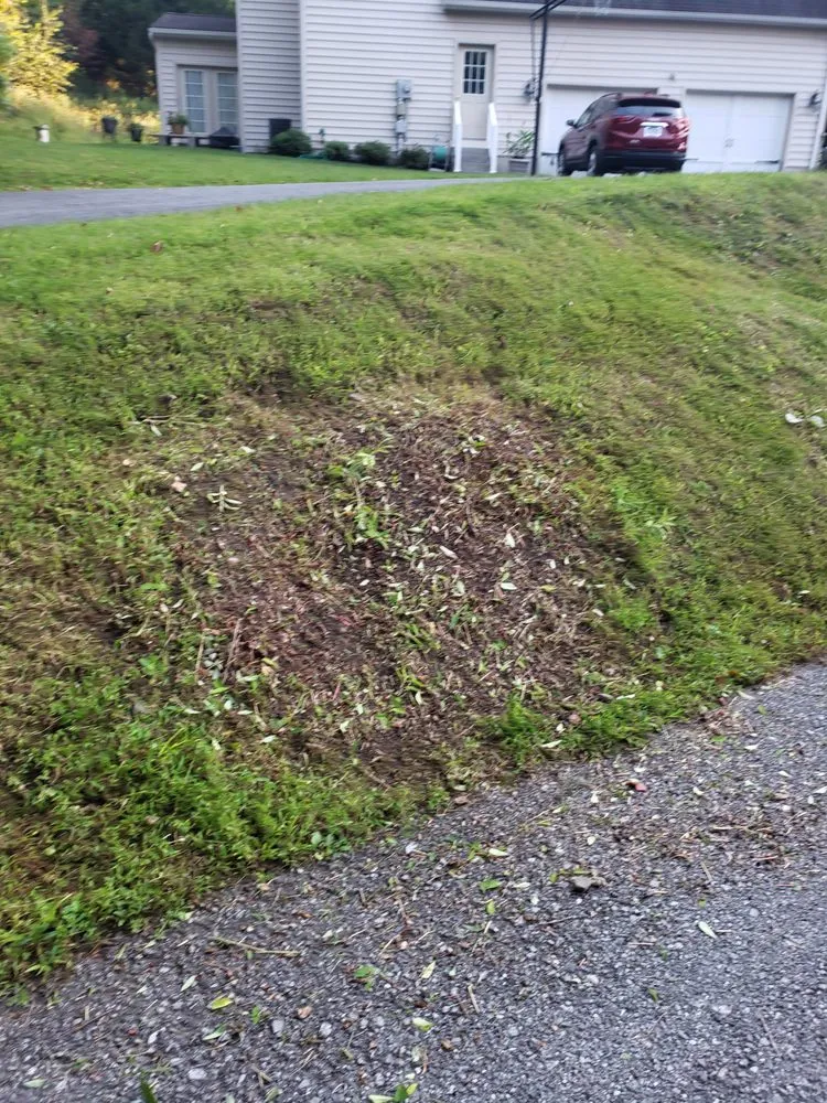 Custom yard cleanup service in Lebanon, PA by Jose Lawn Care