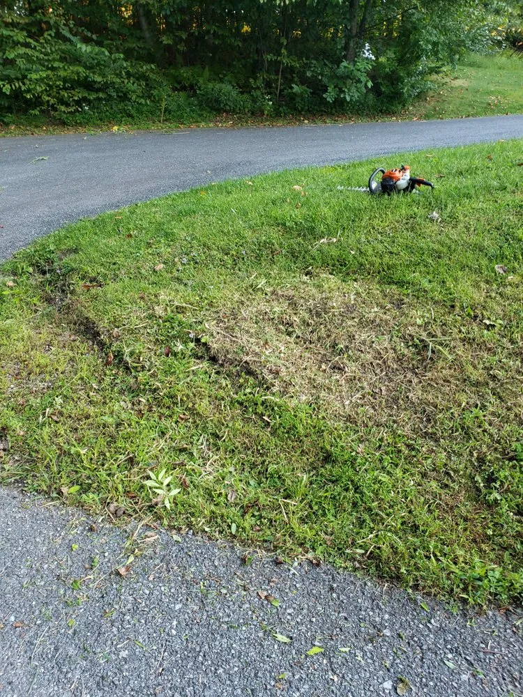 Reliable lawn care service in Lebanon, PA - Jose Lawn Care