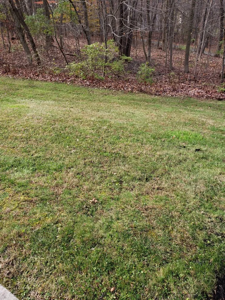 Reliable lawn mowing service with custom design in Lebanon, PA by Jose Lawn Care