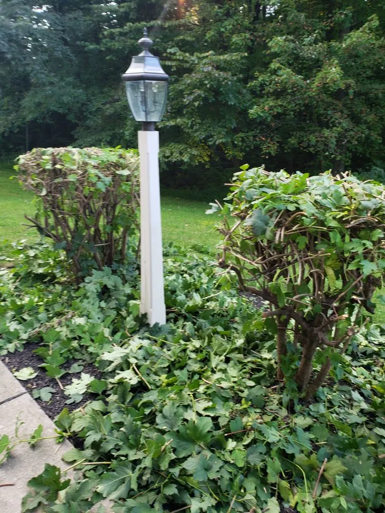 Local outdoor landscaping for homes in Lebanon, PA by Jose Lawn Care