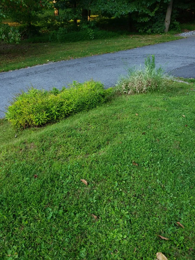 Custom landscape installation in Lebanon, PA - Jose Lawn Care