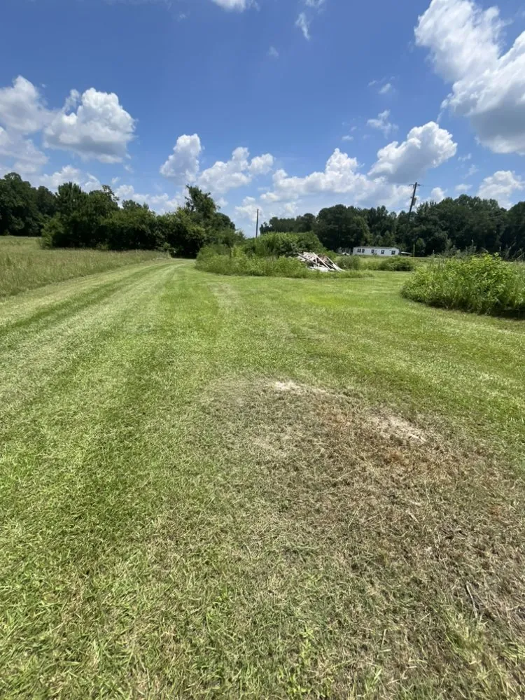 Top-rated landscaping services in Rose Hill, NC - Jose Lawn Care Service