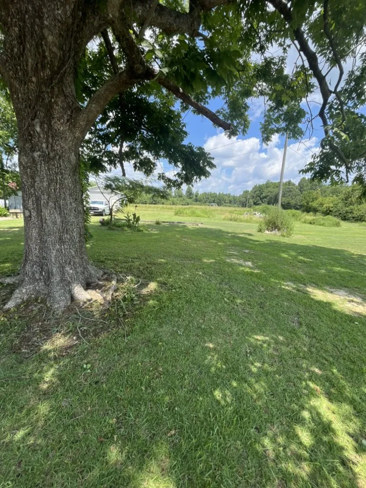 Top-rated lawn care service for beautiful yards across Rose Hill, NC - Jose Lawn Care Service