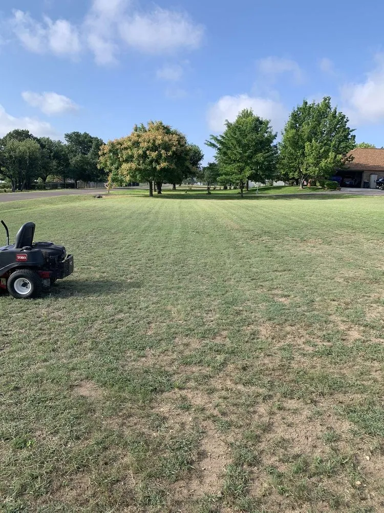 Top-rated landscape installation in Belton, TX by Jose Lawn Service