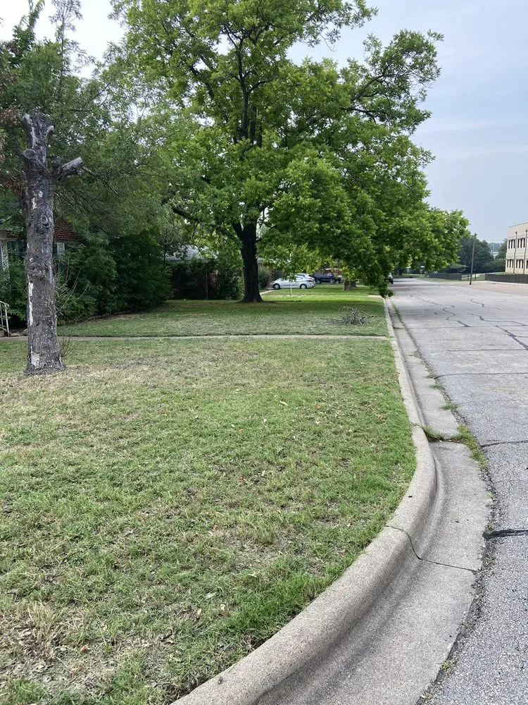 Top-rated yard maintenance experts serving Belton, TX - Jose Lawn Service