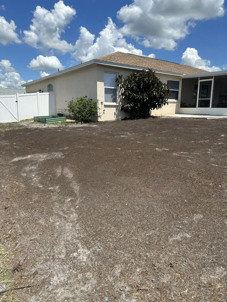 Professional outdoor landscaping with custom design across Dover, FL - Jose Lawn Service