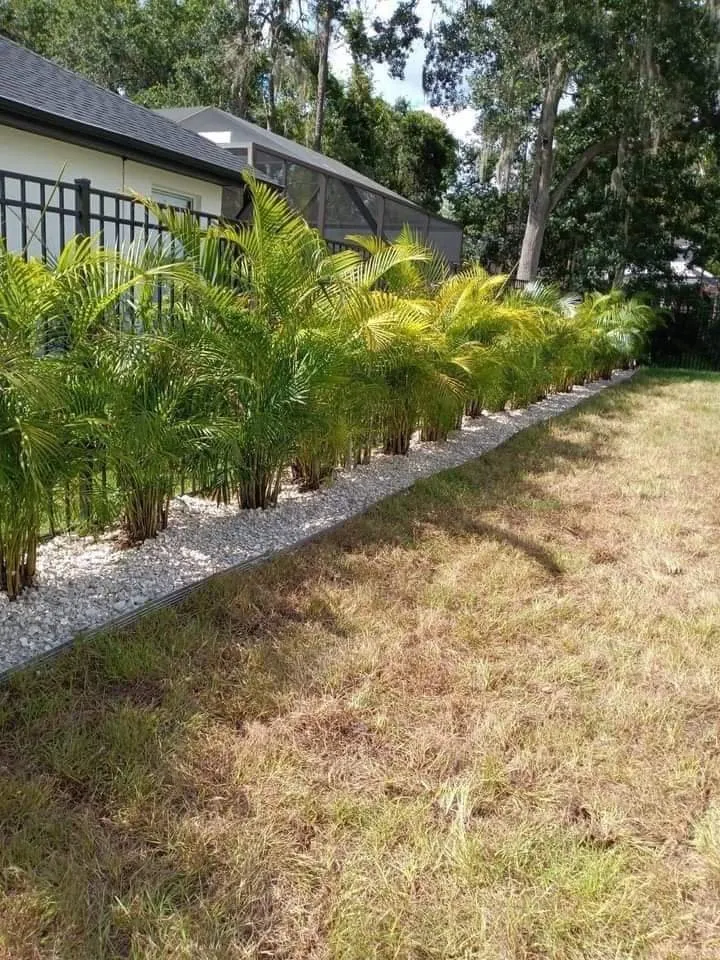 Affordable residential landscaping for beautiful yards across Dover, FL - Jose Lawn Service
