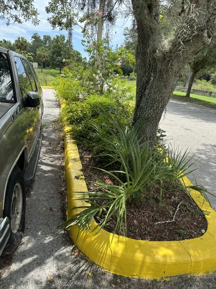 Local landscape design in Dover, FL - Jose Lawn Service