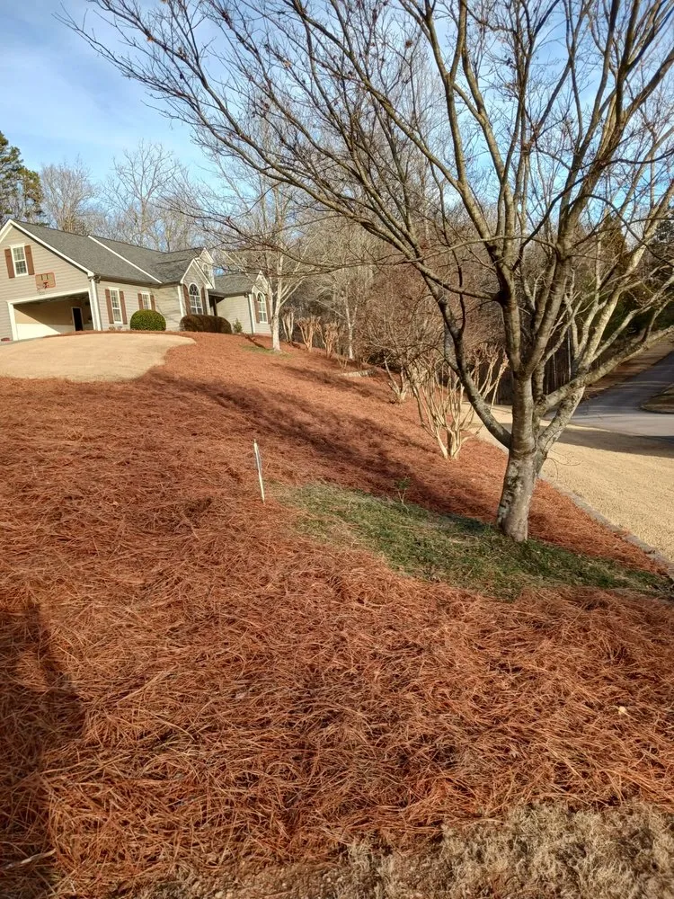Trusted landscaping services experts serving Gainesville, GA - Jose Lawn Service