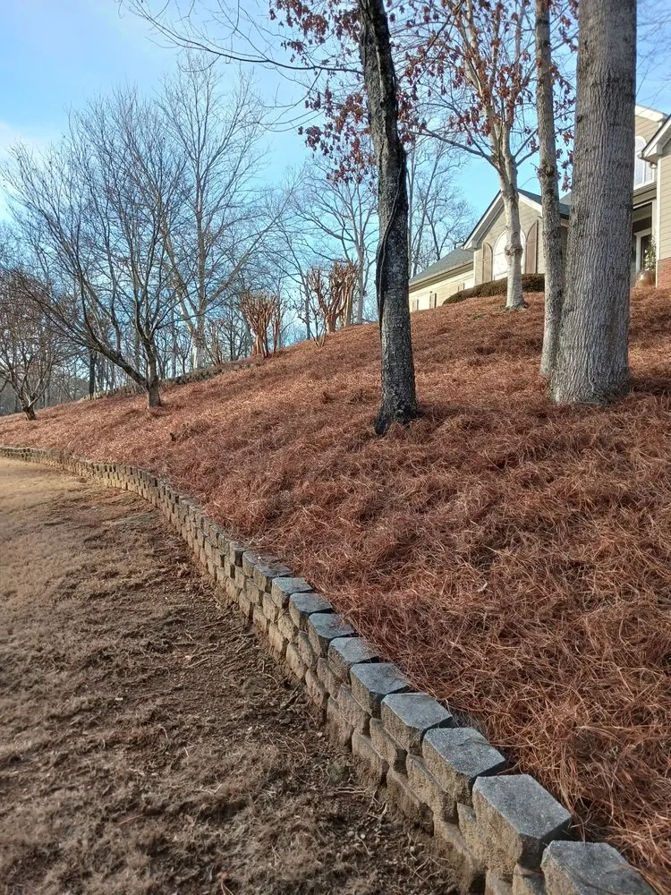 Trusted yard maintenance in Gainesville, GA by Jose Lawn Service