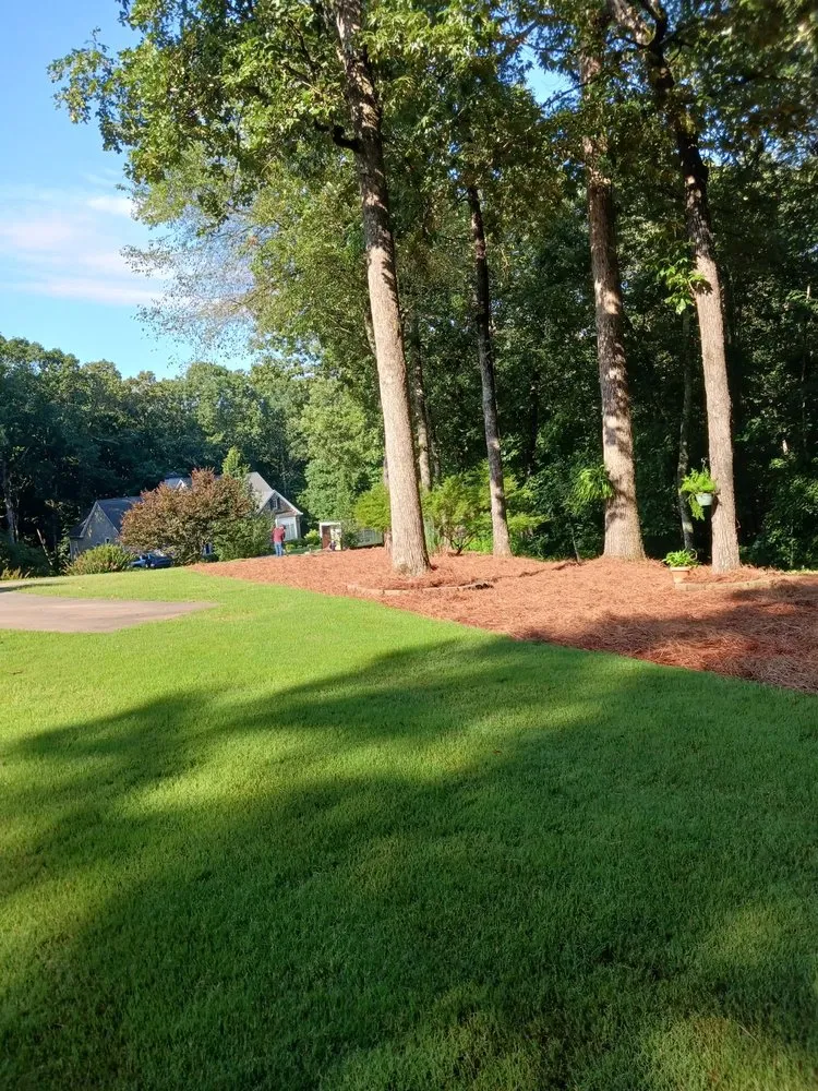 Local lawn mowing service in Gainesville, GA by Jose Lawn Service