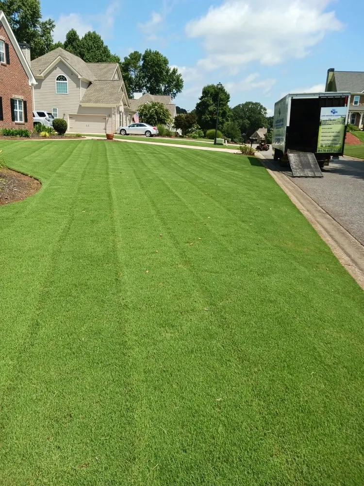 Professional yard cleanup service in Gainesville, GA by Jose Lawn Service