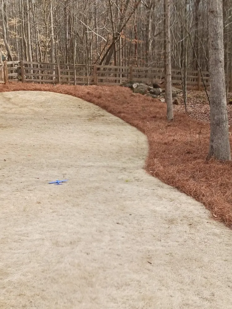 Trusted landscape design for outdoor upgrades in Gainesville, GA by Jose Lawn Service