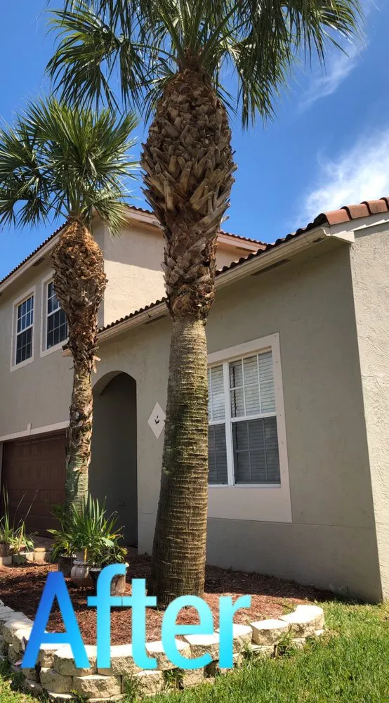 Trusted lawn care service for homes in Lake Worth, FL by Jose Lawn Service