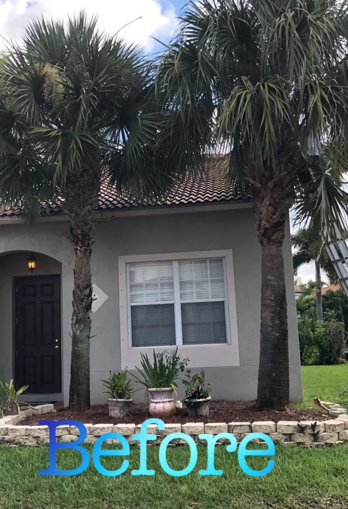 Custom lawn mowing service in Lake Worth, FL by Jose Lawn Service