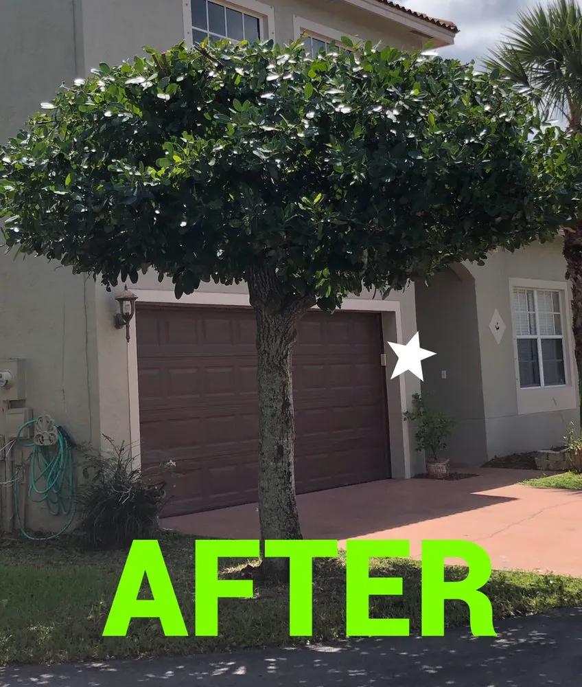 Reliable residential landscaping in Lake Worth, FL - Jose Lawn Service