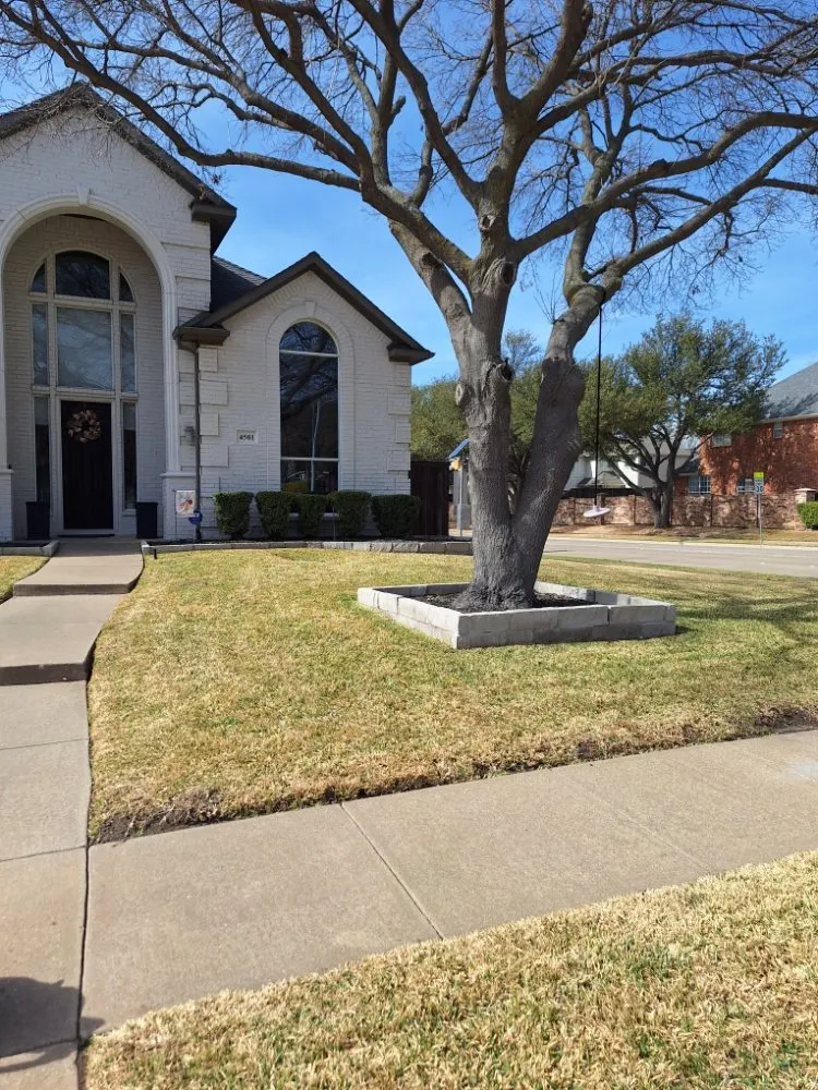 Affordable yard cleanup service in Royse City, TX - Jose lawn service