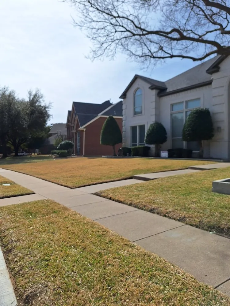 Top-rated garden landscaping in Royse City, TX by Jose lawn service