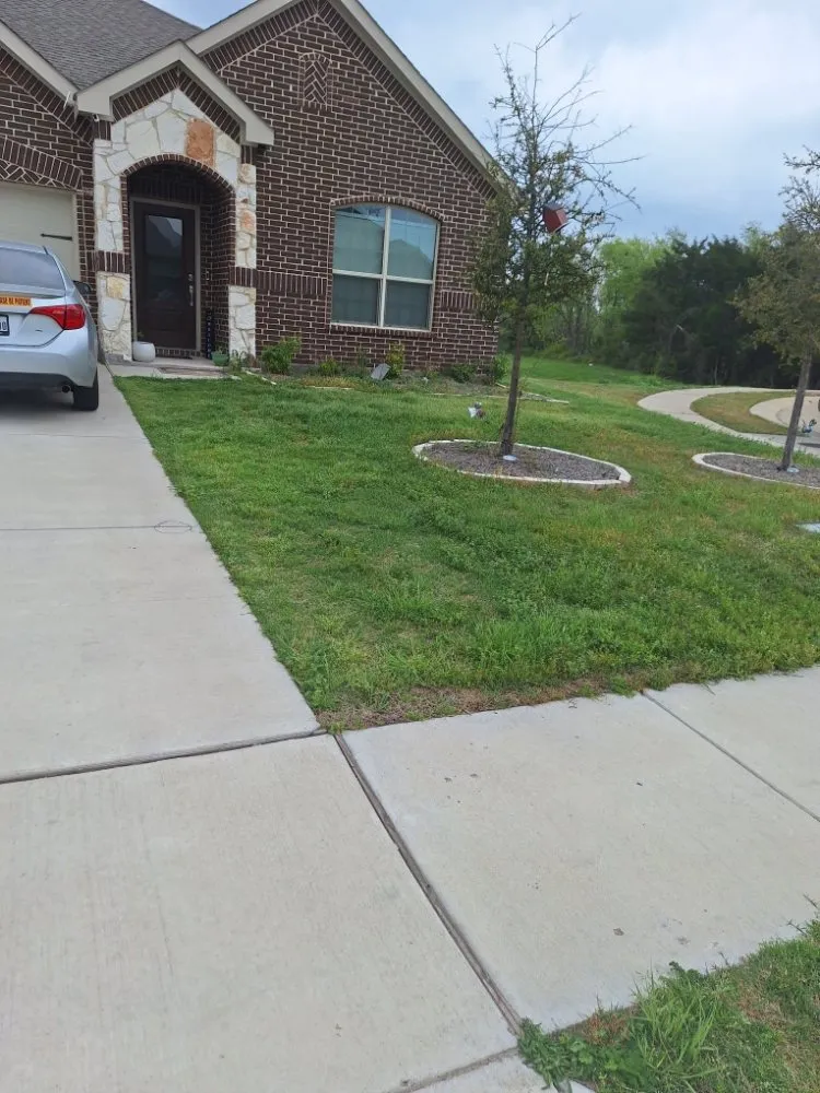 Trusted outdoor landscaping in Royse City, TX - Jose lawn service