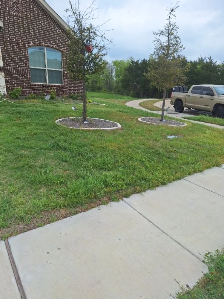 Top-rated yard maintenance near you across Royse City, TX - Jose lawn service